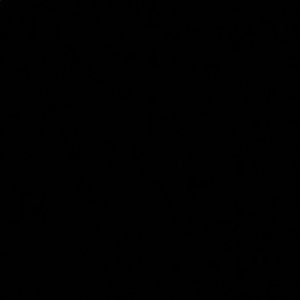 Meet your Posher, Huma